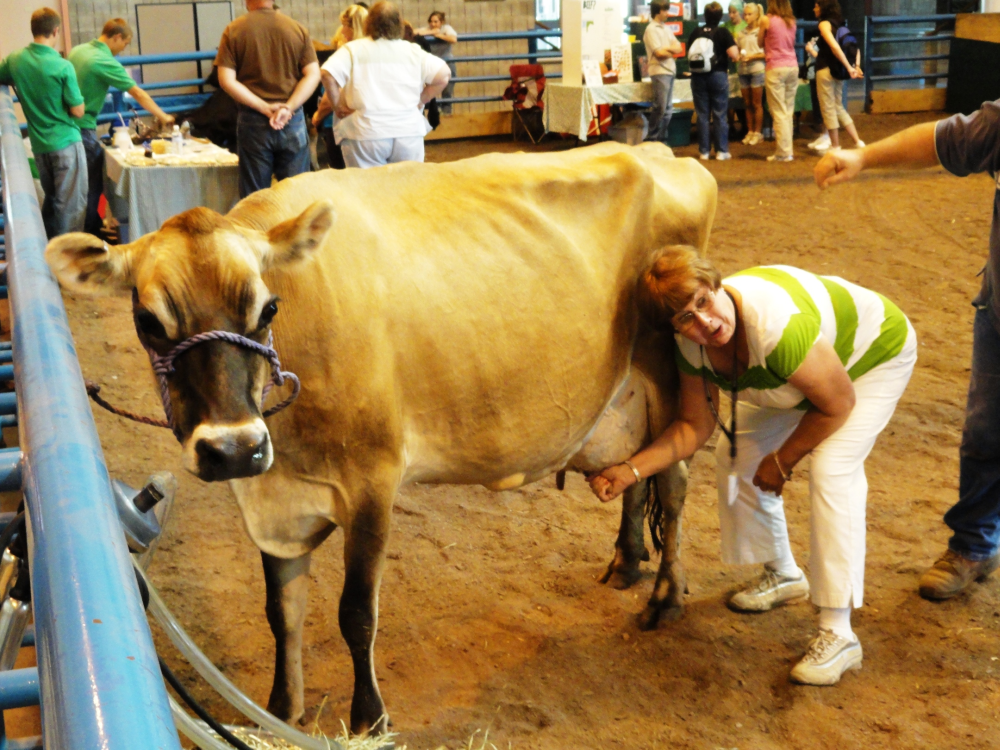 Ag in the classroom milking