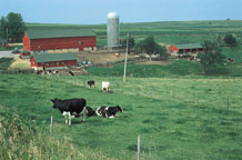 allied milk producers